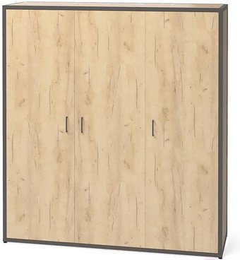 Шкаф распашной Millwood Neo Loft ML-6/L (дуб золотой craft/металл черный)