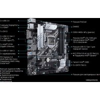 Материнская плата ASUS Prime Z490M-Plus