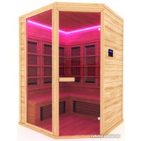 Инфракрасная сауна Шингарёв и Ко Угловая 4-местная