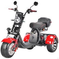 Электроскутер White Siberia CityCoco WS-Pro Trike 3000W 21Ah (с красными брызговиками)