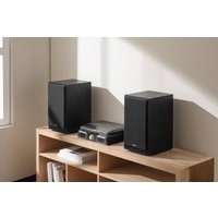 Акустика Edifier R2750DB MKII (черный)