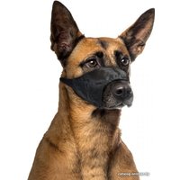 Намордник Duvo Plus Dog Muzzle 4705131/DV (черный)