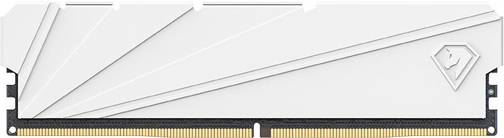 Оперативная память Netac Shadow S 8ГБ DDR4 2666 МГц NTSSD4P26SP-08W