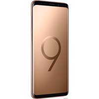 Смартфон Samsung Galaxy S9+ Dual SIM 64GB Exynos 9810 (золотистый)