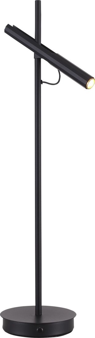 

Настольная лампа ST Luce SL6210.404.01