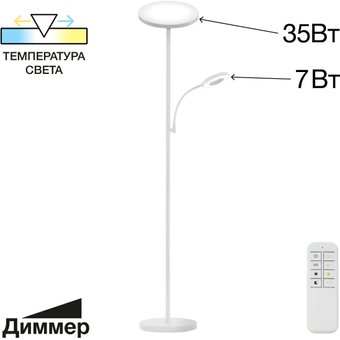 Торшер Citilux Click CL810010