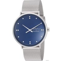 Наручные часы Skagen SKW6584