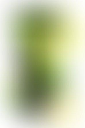 Съедобный крем для массажа Shunga 274111