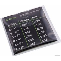 Акустическая гитара Terris TD-045 SB Starter Pack