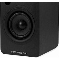 Полочная акустика Premiera RS-301A (черный)
