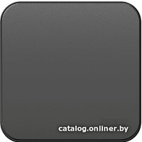 Выключатель Schneider Electric Blanca BLNVA101016