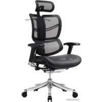 Офисное кресло Ergostyle Fly T-01 HFYM01 (черный) в Бобруйске
