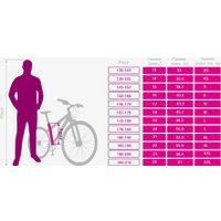 Велосипед AIST Rocky 3.0 Disc 29 р.17 2025 (серый, разобранный)