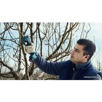 Секатор Bosch Pro Pruner Professional 06019K1021 (с 2-мя АКБ)
