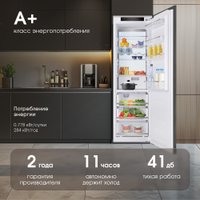 Однокамерный холодильник Zigmund & Shtain BR 06 X