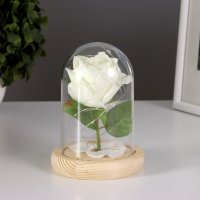 Настольная лампа Risalux Колба Роза 10539552 (белый)