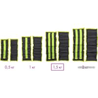 Комплект утяжелителей Sundays IR97812 2x1.5 кг (черный/зеленый)