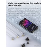 Кабель FiiO LC-4.4D
