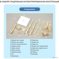 Набор для опытов Bondibon Японские опыты. Человек. Кости и мышцы ВВ4728