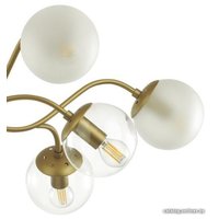 Люстра средней высоты Lumion Candice 4555/10C