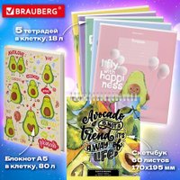 Набор школьника BRAUBERG Подарочный 880951 (43 предмета)