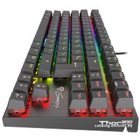 Клавиатура Genesis Thor 300 TKL RGB