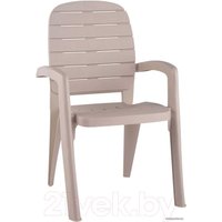 Стул Элластик-Пласт Прованс 58x46.5x90 (серо-бежевый)