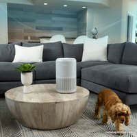 Очиститель воздуха Levoit Core P350