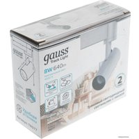 Трековый светильник Gauss TR077