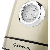 Электрический чайник Brayer BR1005YE