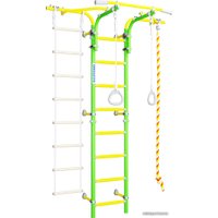 Детский спортивный комплекс Romana S6 Karusel 01.21.8.06.410.06.00-14 (зеленое яблоко)