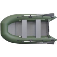 Моторная лодка BoatsMan BT280 (зеленый)