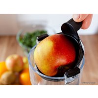 Соковыжималка Eldom PJ405 Sante (бежевый)