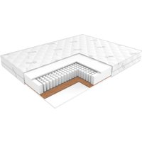 Матрас ЭОС Идеал 1а/2 160x200+Samsara Одуванчики Dark Евро 220-24 в Бобруйске