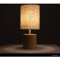Настольная лампа Arte Lamp Jishui A5036LT-1BR