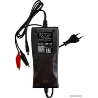 Зарядное устройство RDrive Junior C2-12