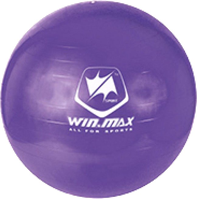 

Гимнастический мяч WIN.MAX WMF09648 (фиолетовый)