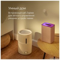 Умная колонка Яндекс Станция 2 (красный рубин)