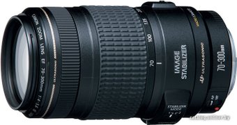 Canon EF 70-300mm f/4-5.6 IS USM