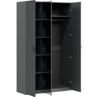 Шкаф-купе Трия Тиффани (серый графит/графит матовый) в Борисове