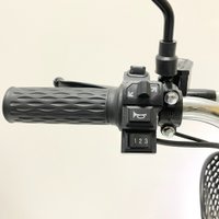 Электровелосипед GreenCamel Транк Монстр R16FAT (500Вт 48В 15Ач)