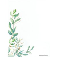 Папка адресная OfficeSpace Свидетельство о заключении брака 318058