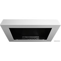 Биокамин Infire Murall