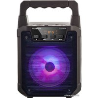 Беспроводная колонка TELEFUNKEN TF-PS1229B