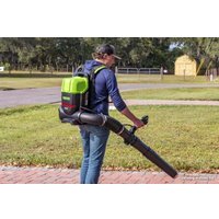 Ранцевая воздуходувка Greenworks GD82BP2 2408307 (без АКБ)