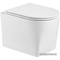 Унитаз подвесной WeltWasser Nesenbach 004 GL-WT (белый глянец)