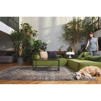 Пылесос Hoover TXL80PET 011