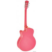 Акустическая гитара Elitaro E4010 PI