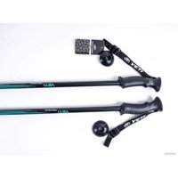 Палки для скандинавской ходьбы Tech Team Yeti (celadon)