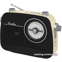 Радиоприемник Ritmix RPR-075